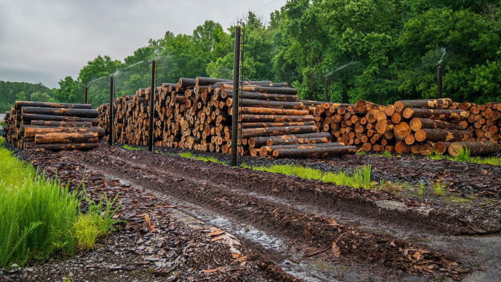 independent lumberyard purchasing power