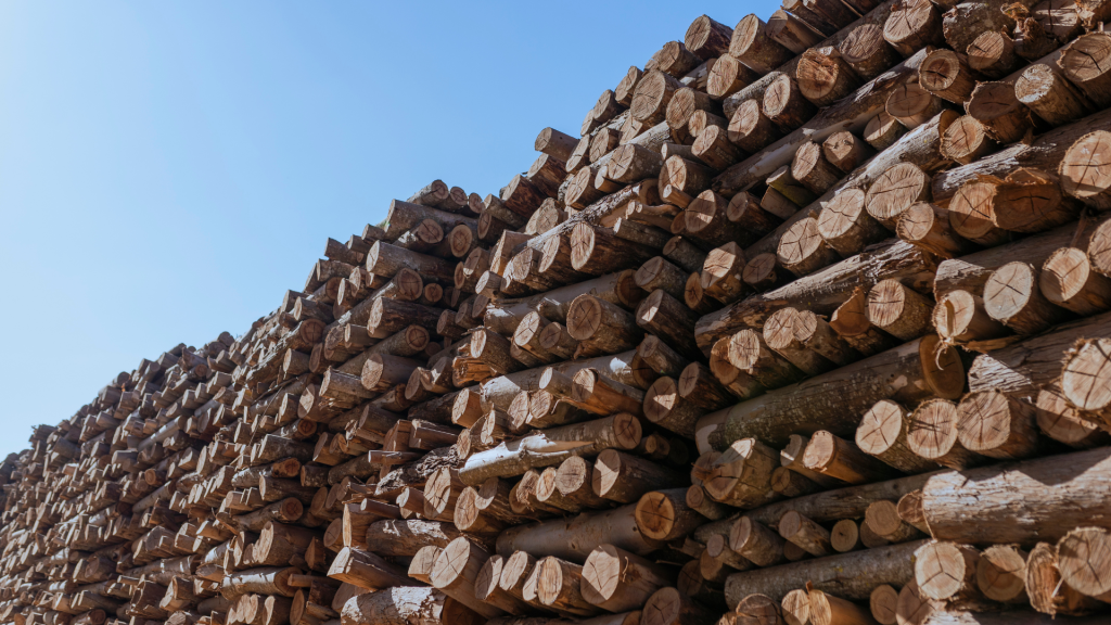 Managing Lumber Price Volatility