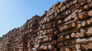 Managing Lumber Price Volatility