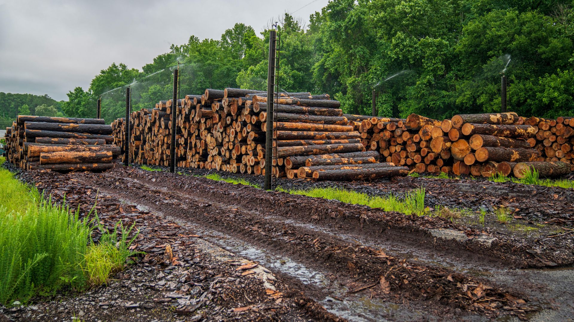 independent lumberyard purchasing power