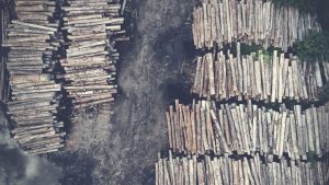 lumber freight costs mountain west