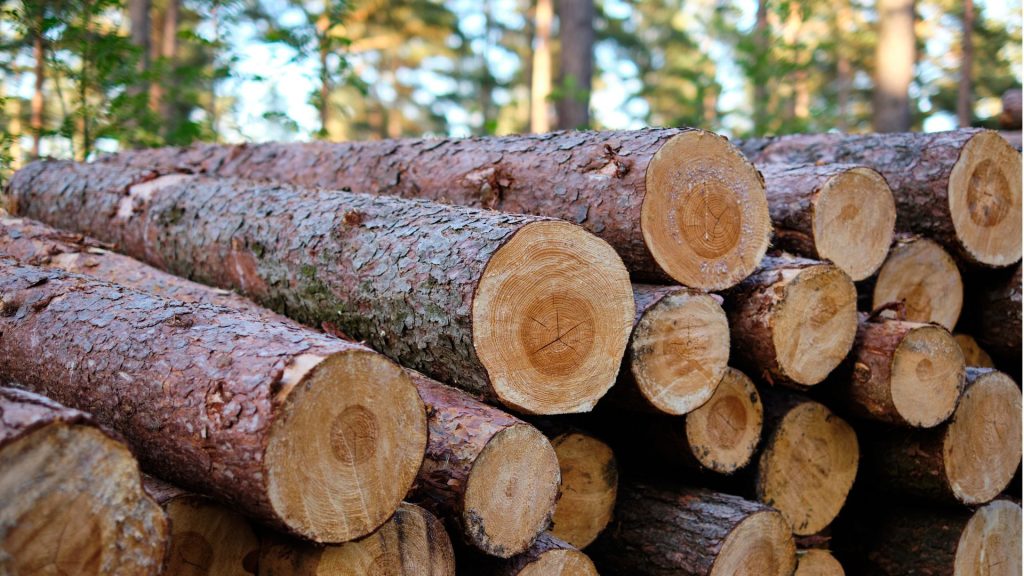 Lumber Yard Succession Planning