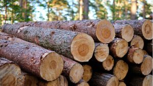 Lumber Yard Succession Planning