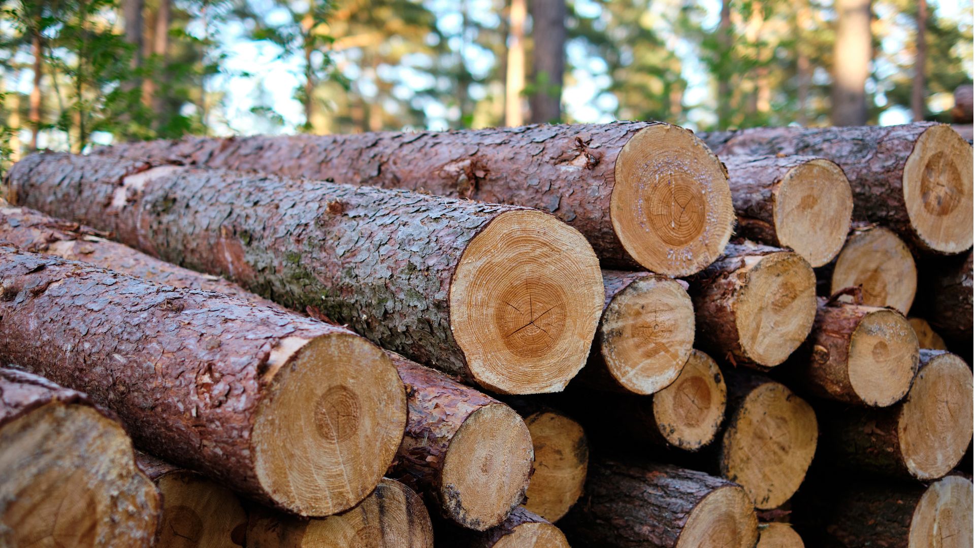 Lumber Yard Succession Planning