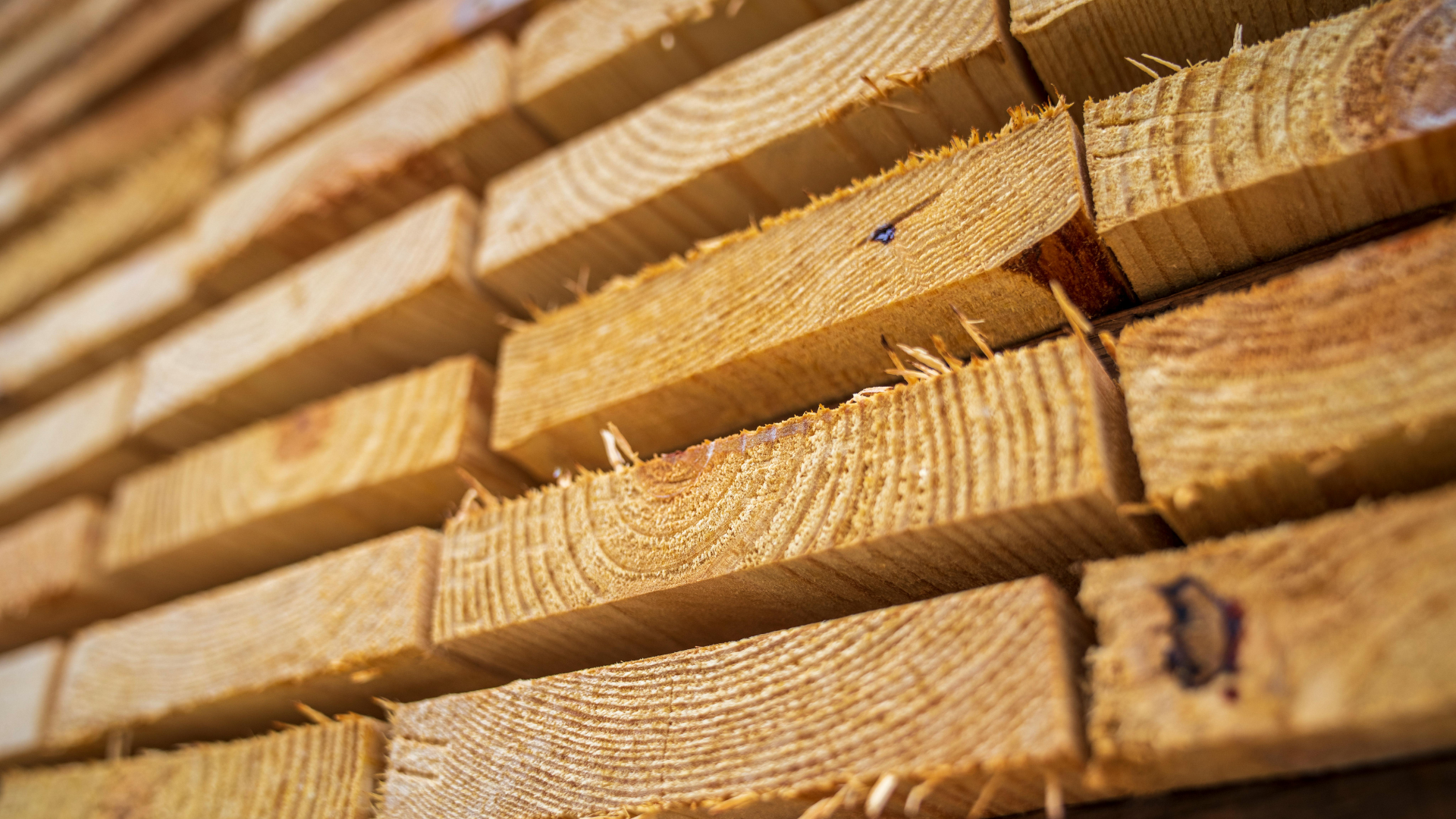 How independent lumber yards compete