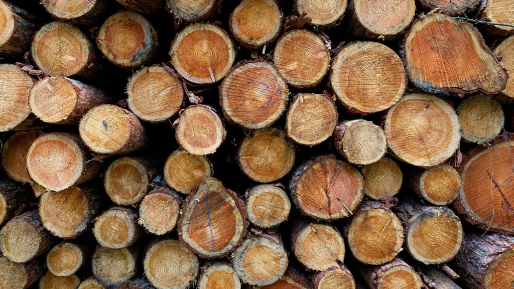 marketing for independent lumber yards