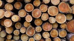 marketing for independent lumber yards