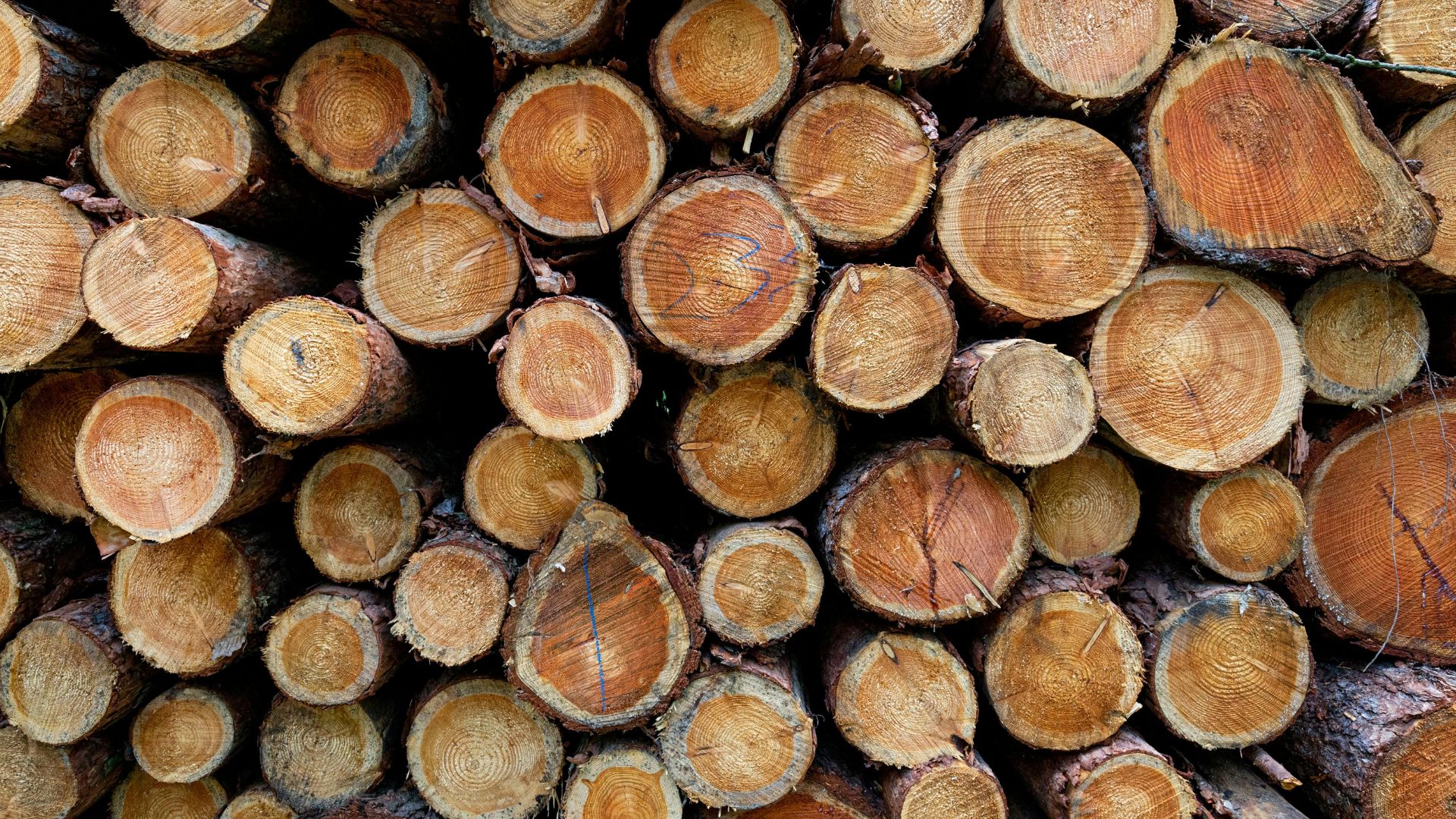 marketing for independent lumber yards