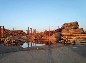 Independent Lumberyard Succession Planning